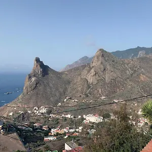 Canaria Hombre De Palo Santa Cruz de Tenerife